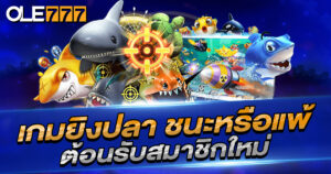 ทำกำไรจาก เกมยิงปลา ชนะหรือแพ้ คุณกำหนด