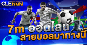 7m ออนไลน์ เว็บที่คนชอบแทงบอลต้องรัก